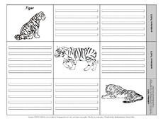 Leporello-Tiger-3-1-2.pdf